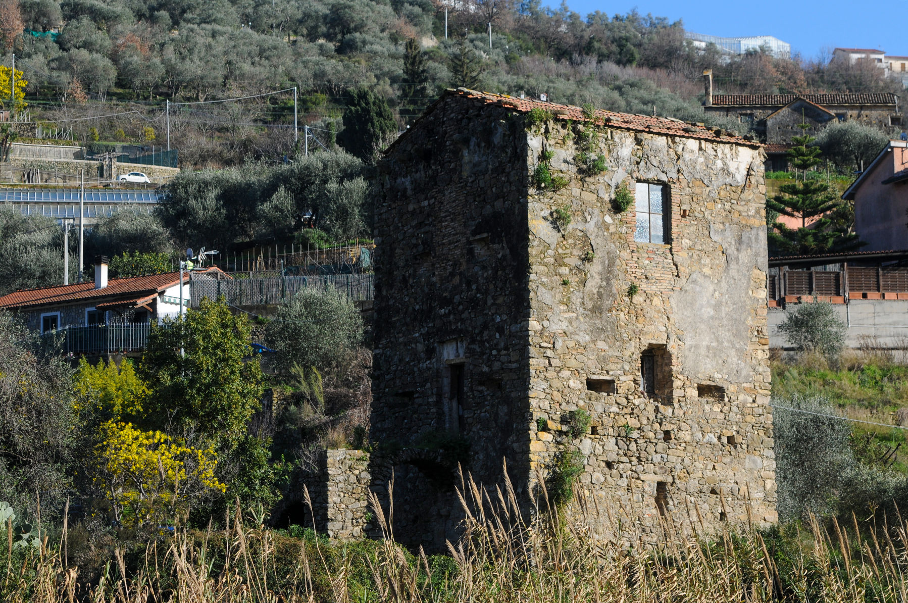 Vallecrosia
