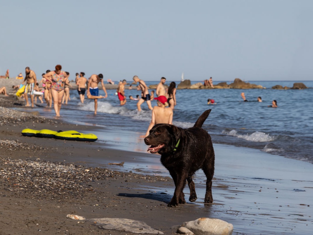 Spiaggia Vallecrosia al Mare