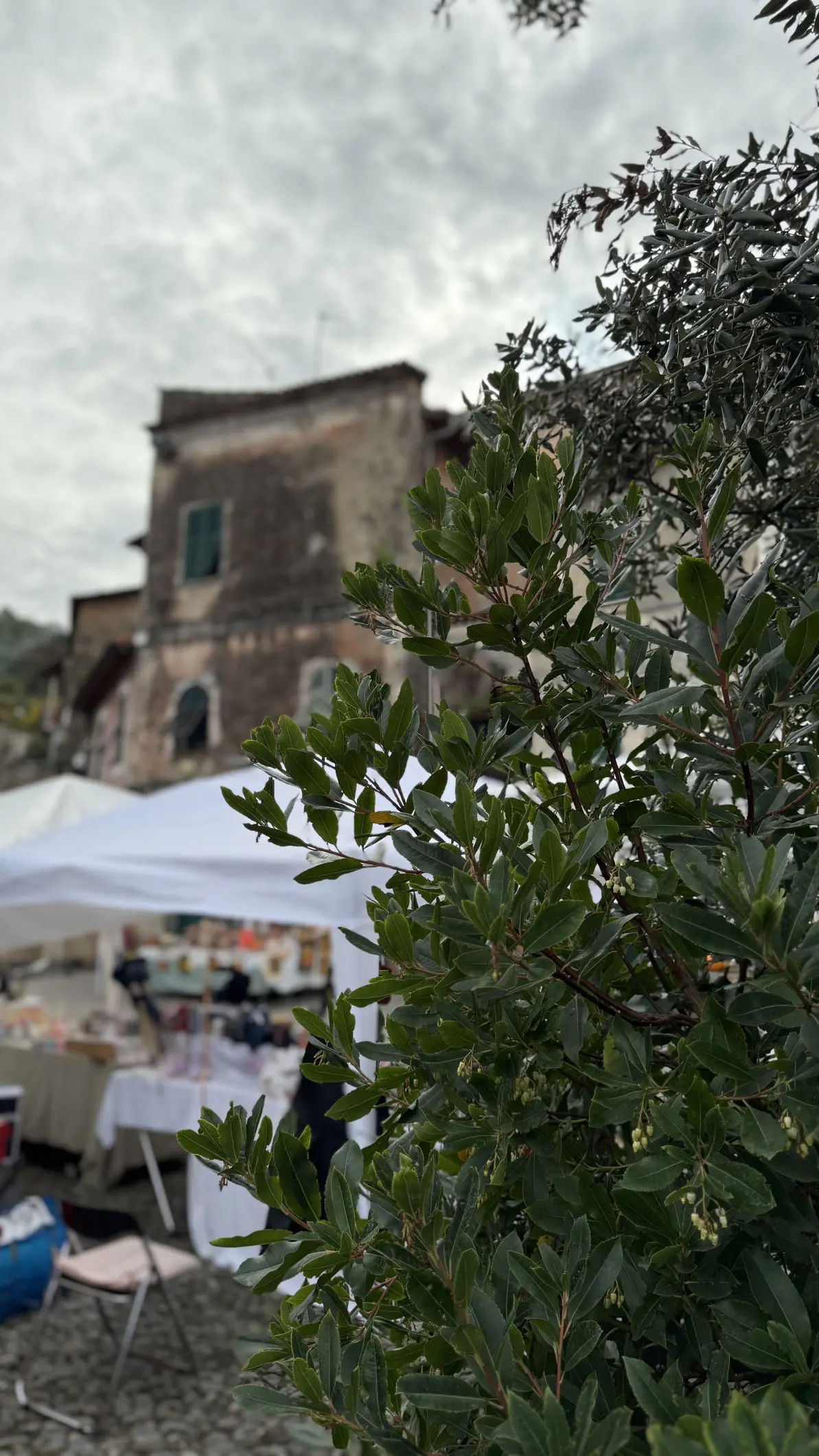 Festa della Zucca Vallecrosia