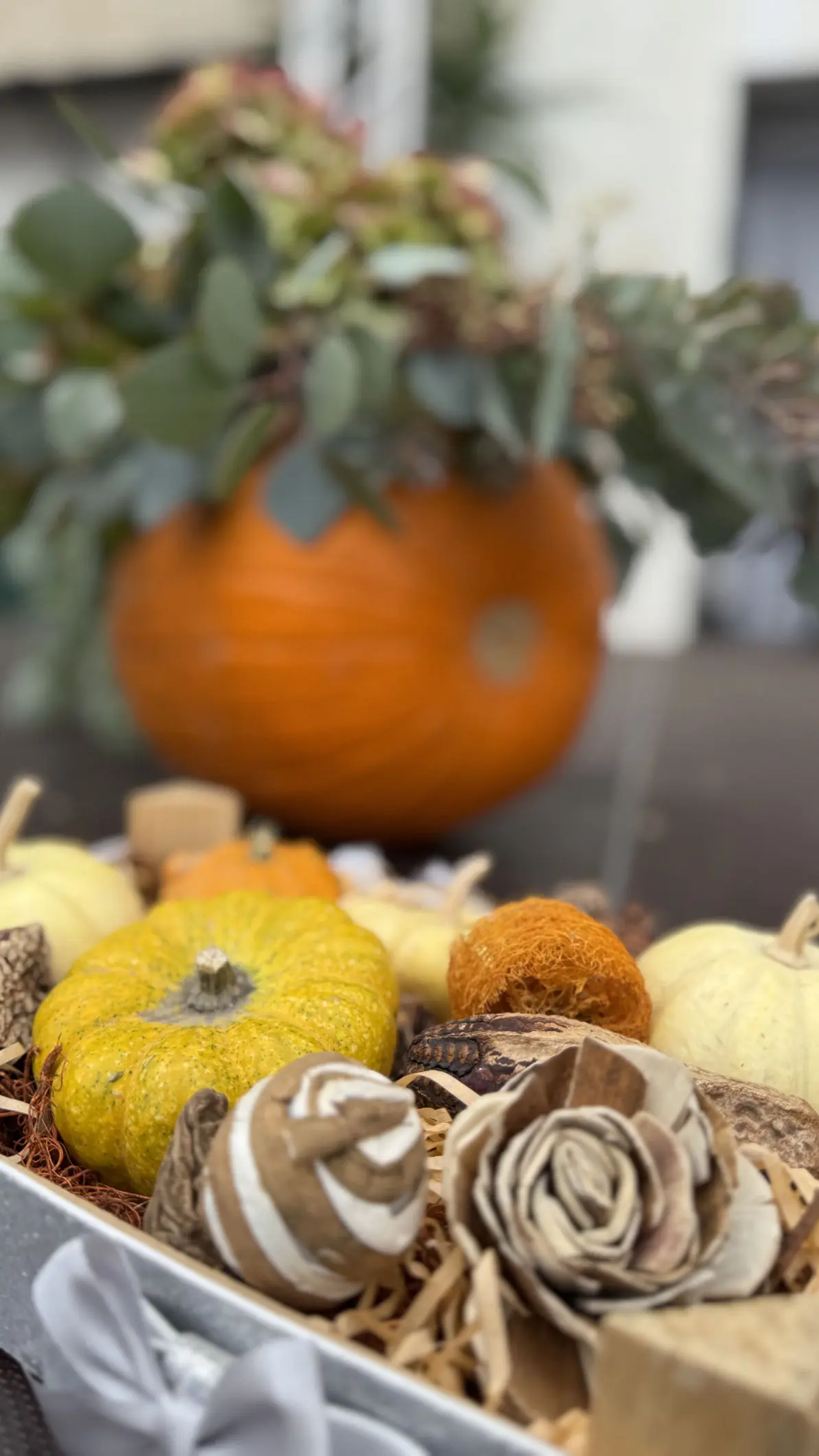 Vallecrosia Centro Storico Festa Zucca