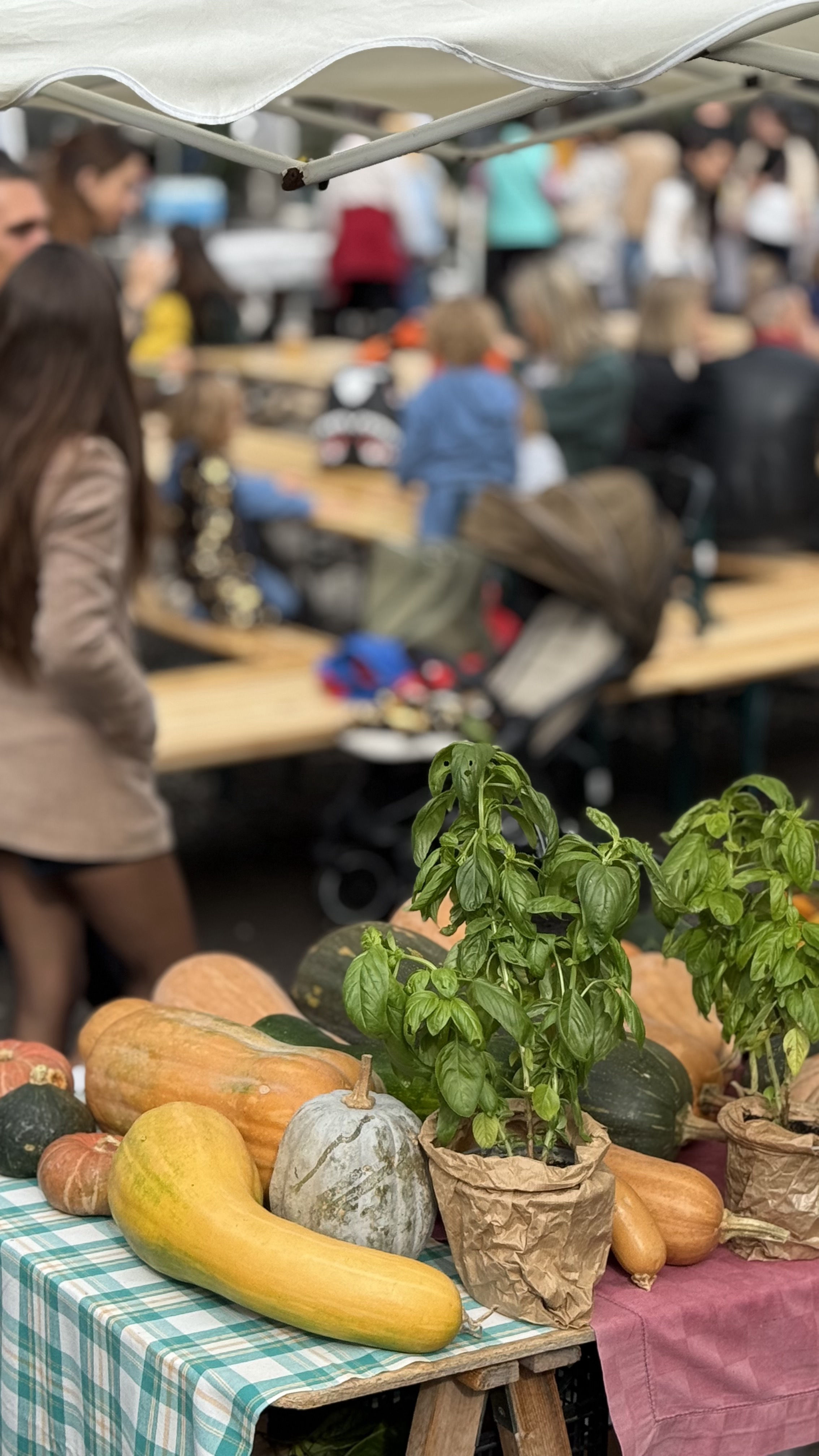 Festa della Zucca Vallecrosia