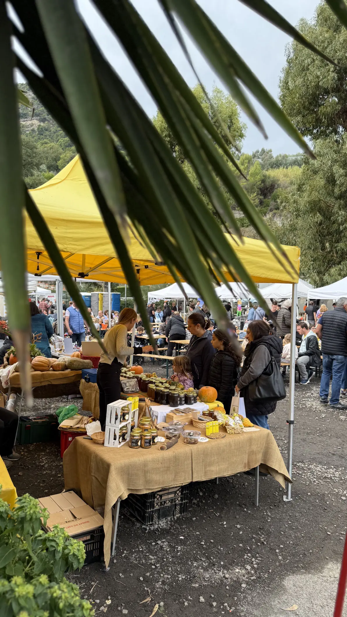 Festa della Zucca Vallecrosia