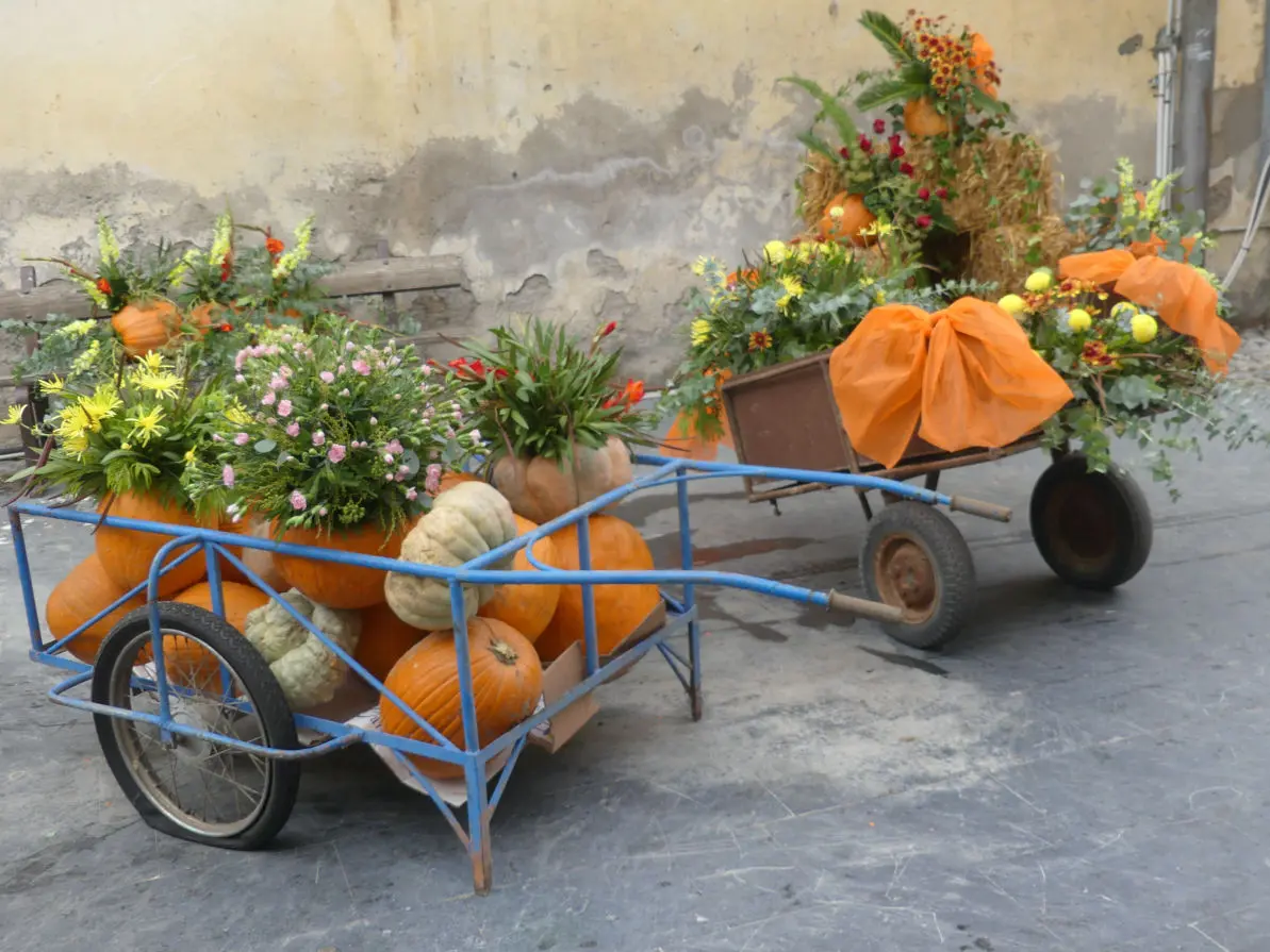 Festa della Zucca Vallecrosia