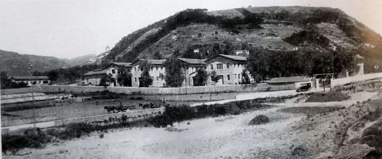 Vallecrosia fabbrica