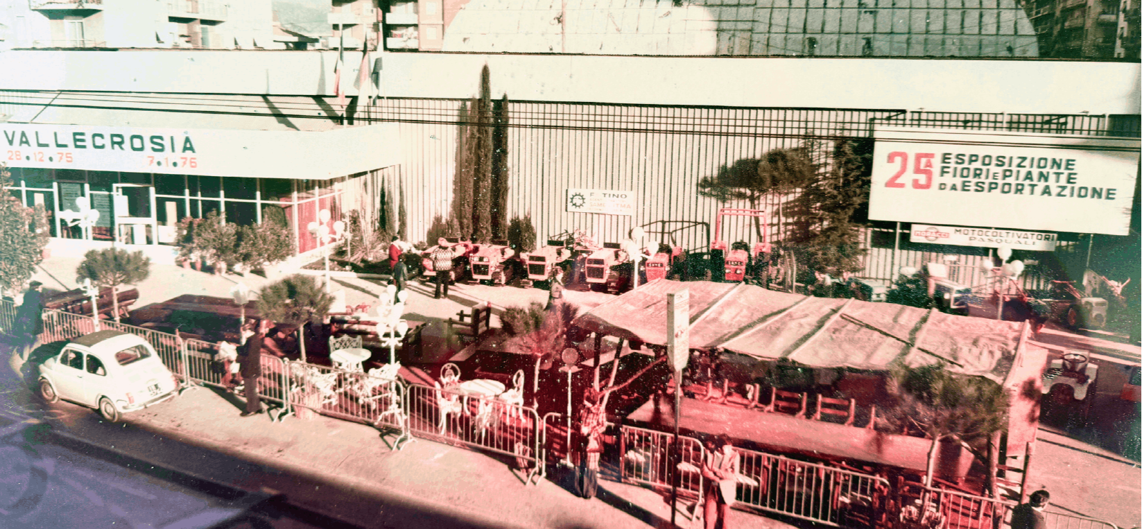 Vallecrosia Mercato